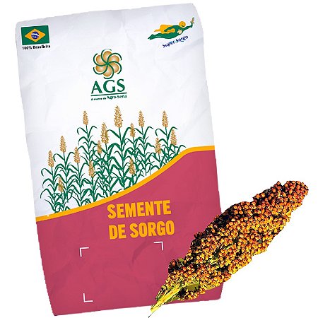 Semente de Super Sorgo Gigante Silagem Fr – 1kg
