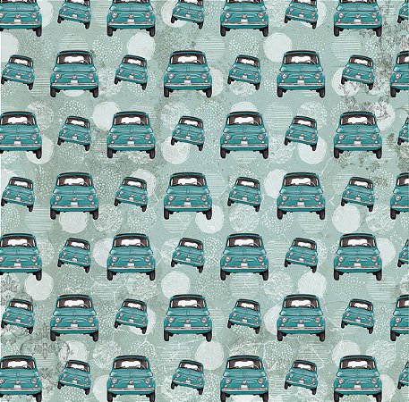 A PROCULA DA FELICIDADE - CARRO
