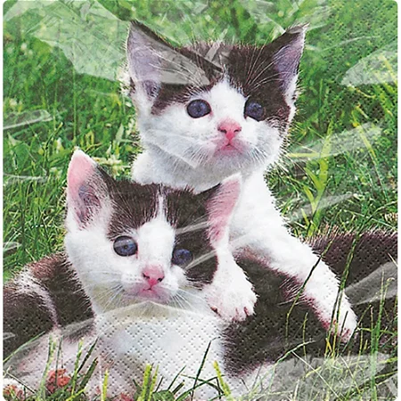 GUARDANAPO 20 UNIDADES - GATOS NA GRAMA