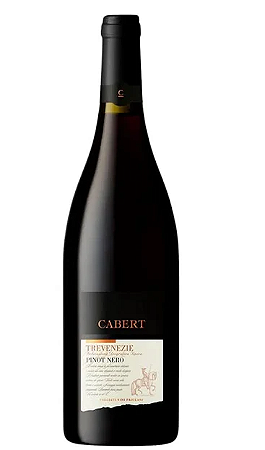 Vinho Cabert Pinot Nero Trevenezie IGT 2022