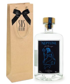 Kit Gin Neptune 700ml