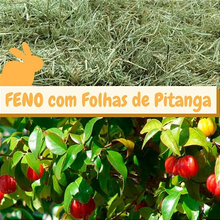 Feno Coast Cross com Folhas de Pitanga - 500g