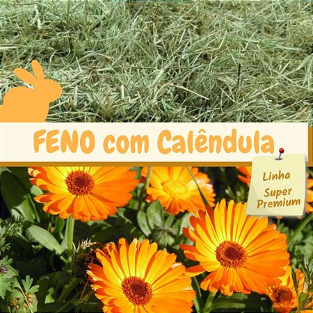 Feno Coast Cross com Calêndula - 500g
