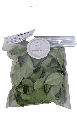 Petisco Folhas de Pitanga - 10g