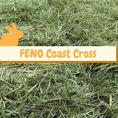 Feno Coast Cross saborizado - 800g