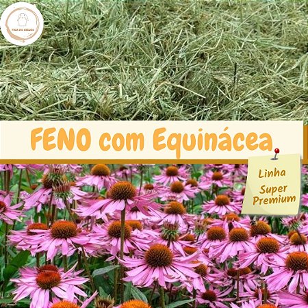 Feno Coast Cross com Equinácea - 500g