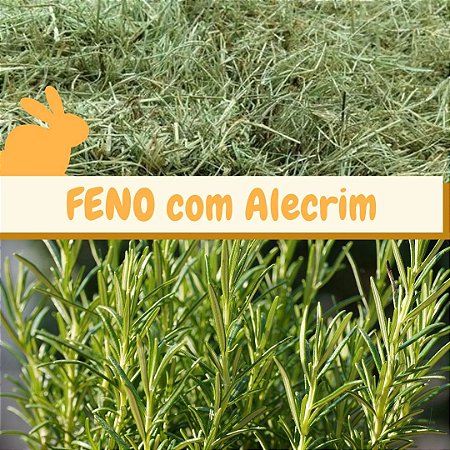 Feno coast cross com Alecrim - 500g