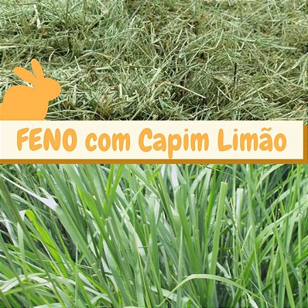 Feno Coast Cross com Capim Limão - 500g