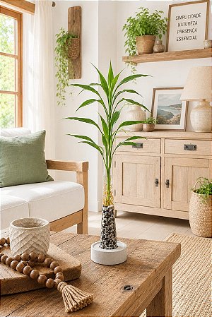Vaso Bambu da Sorte - Slim
