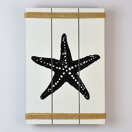 Quadro Estrela Branco 35 cm