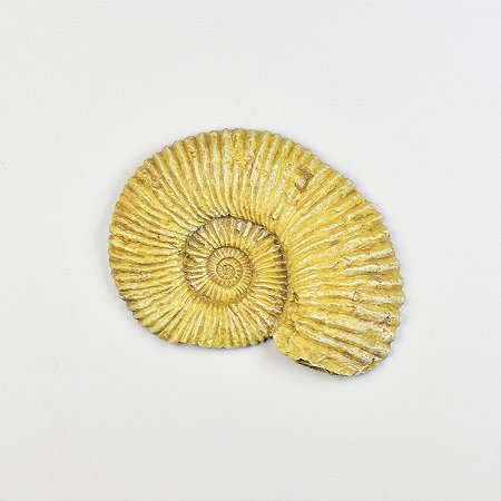 Enfeite Concha Amarela 19 cm