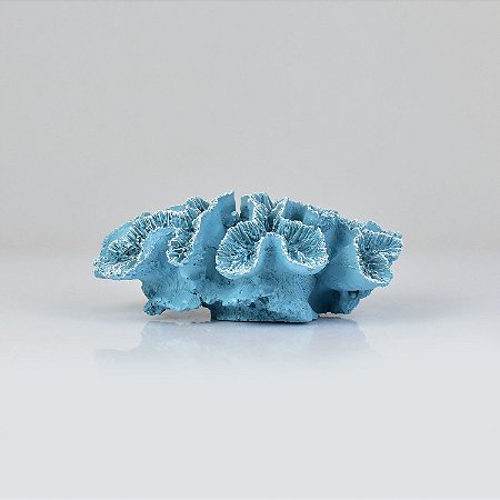 Enfeite Coral Azul 18 cm