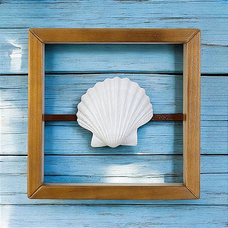 Quadro Nautico Vazado Nautilus