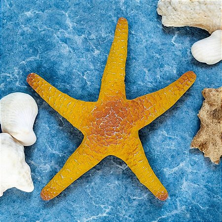 Enfeite Estrela do Mar Amarela em Resina
