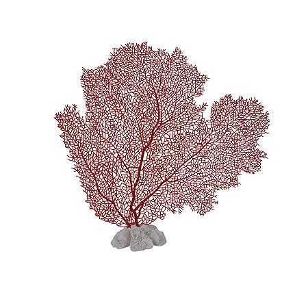 Coral Vermelho Base de Coral