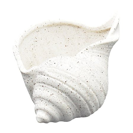 Concha Branco Ceramica