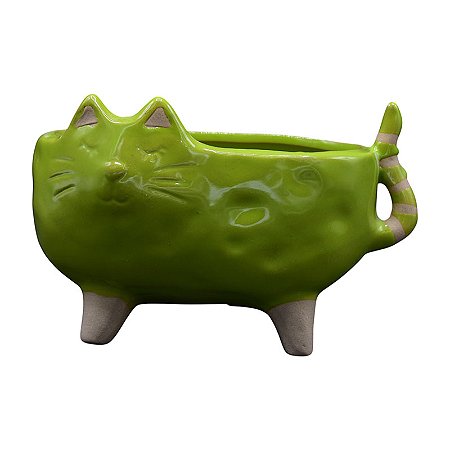 Vasos De Gato Largo Verde