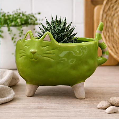 Vasos De Gato Largo Verde