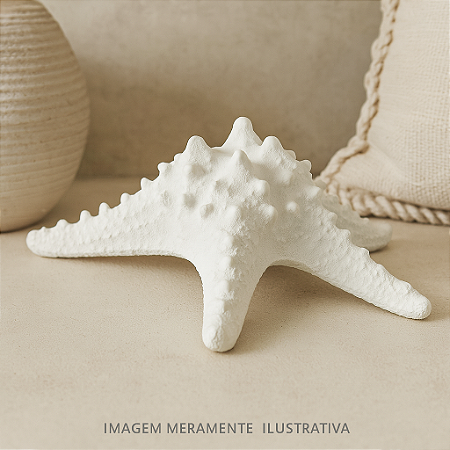 Estrela Do Mar Em Resina Cor Branca