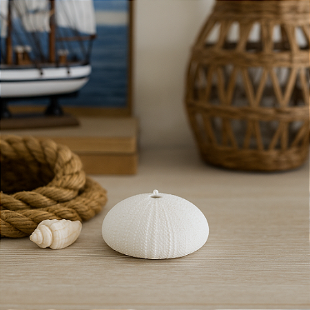 Ouriço Do Mar Com Furo