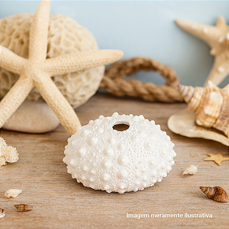 Ouriço Do Mar Com Furo