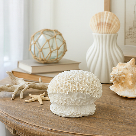 Coral Cerebro Em Resina