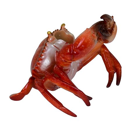 Porta Garrafa De Caranguejo