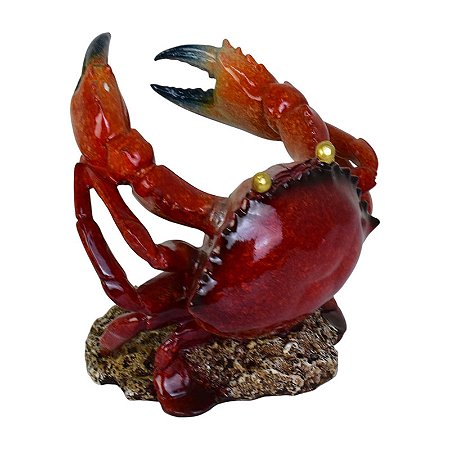 Porta Garrafa De Caranguejo Com Coral