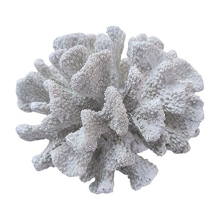 Coral Branco 3D 16Cm