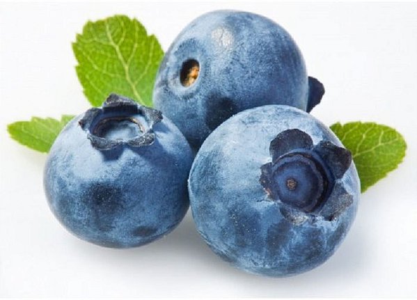 Mirtilo Ou Blueberry (p/ Clima Quente)- Lindas Mudas