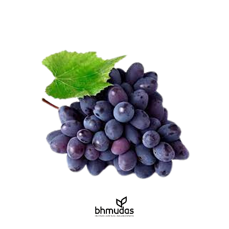 Uva Isis Sem Semente