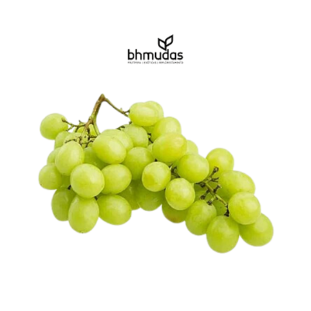 Uva Itália Branca