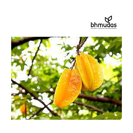 Carambola