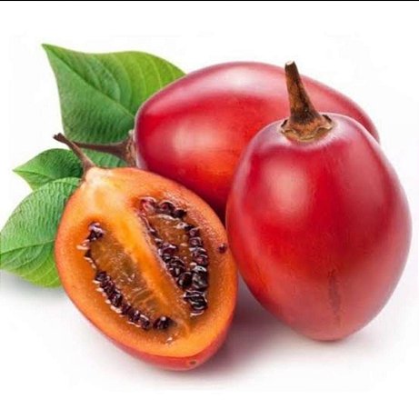 Tamarillo ou Tomate Árvore - Lindas Mudas