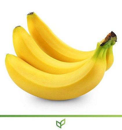Banana Prata - Lindas Mudas