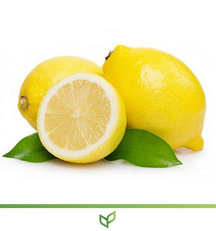 Limão Siciliano - Lindas Mudas Enxertadas