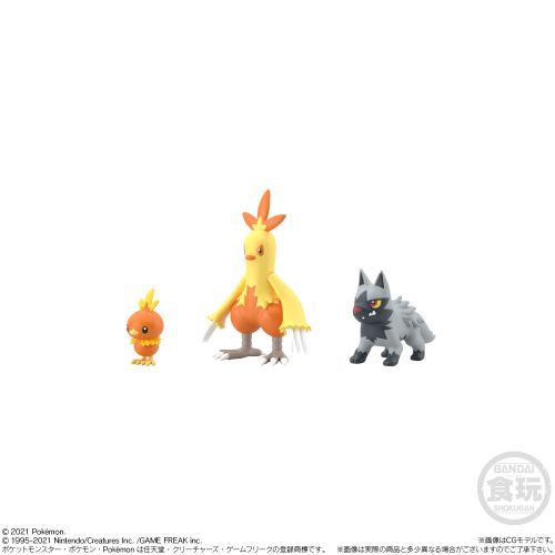 Pokemon Scale World - Torchic, Combusken e Poochyena