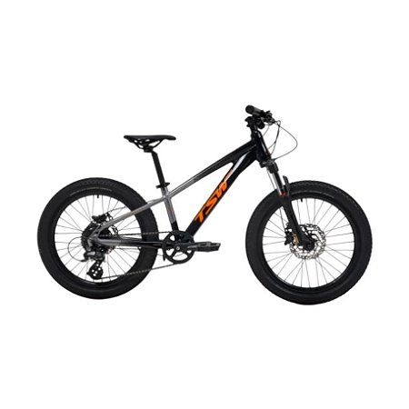 Bicicleta JPP TSW Hunch Altus Aro 20 8 Velocidades