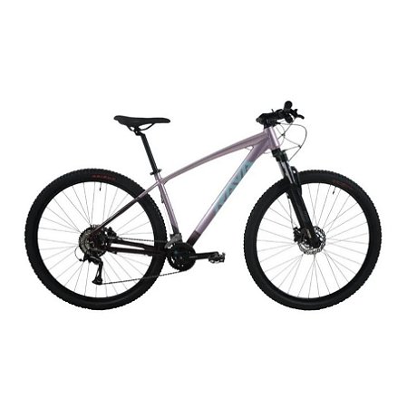 Bicicleta JPP Rava Rakan Aro 29 16 Velocidades Shimano Violeta