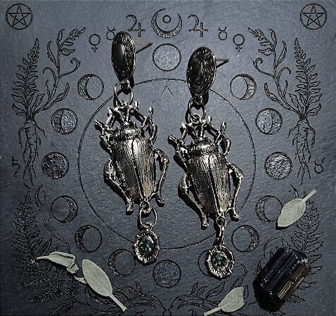 Brinco Longo insectologia