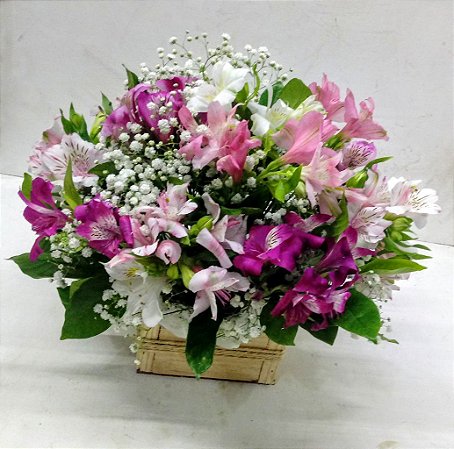 Arranjo de astromelias