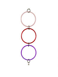 Argola Tripla para Calopsita
