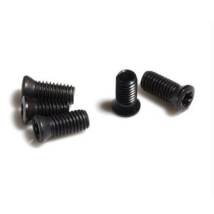 KIT 10 UN - Parafuso Torx M2,5x6 - (P/CHAVE T10)