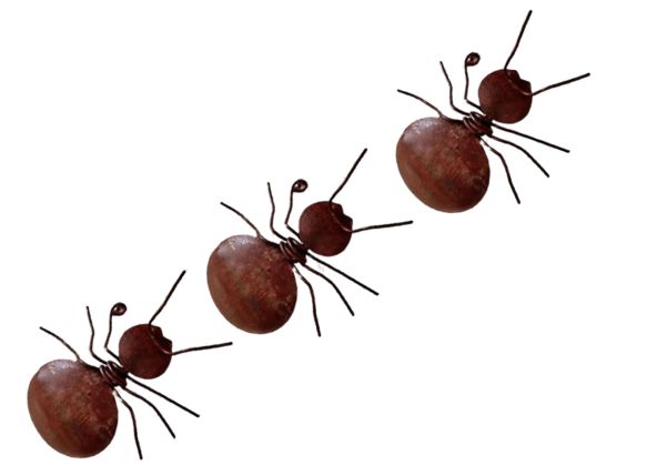 Trio de Formigas em Aço Corten – Escultura Decorativa de Parede