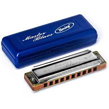 GAITA DE BOCA MASTER BLUES 9020 D-RÉ SHG HERING