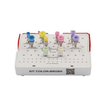 Kit p/ Profilaxia Color Brush - American Burrs