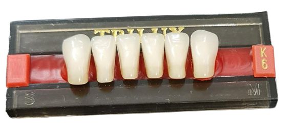 Dente Trilux Anterior Inferior K6 Cor 1A - Vipi