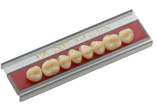 Dente Vipi Dent Posterior Superior 34L Cor 60 - Vipi
