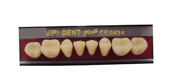 Dente Vipi Dent Posterior Superior 32M Cor 60 - Vipi