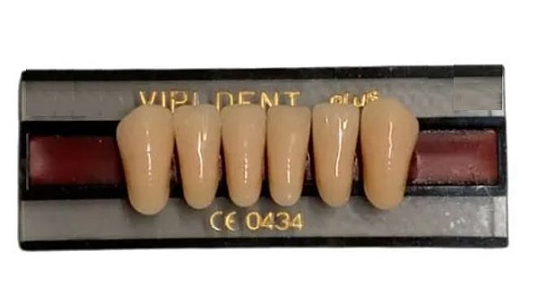Dente Vipi Dent Plus B Anterior Inferior 266 Cor 66 - Vipi